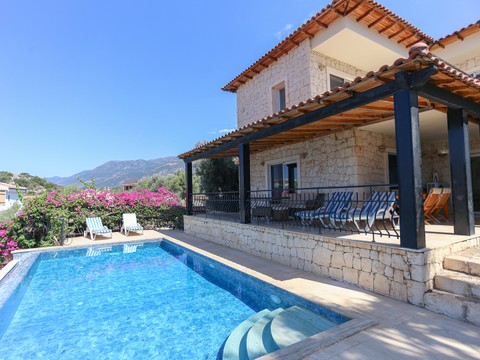 Pool - photo 3