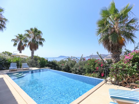 Pool - photo 9