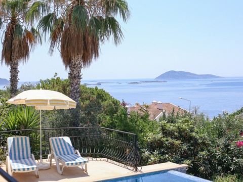Pool - photo 11