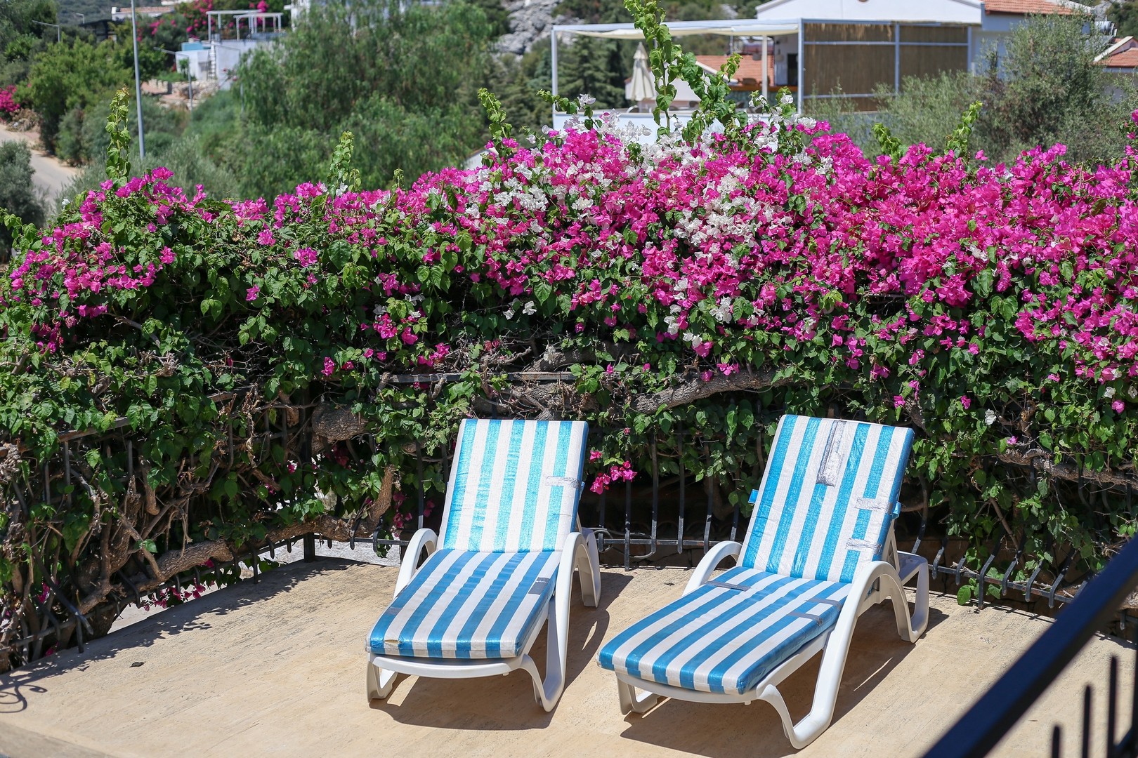 Villa Tavla - photo 18