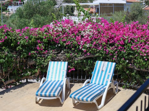 Pool - photo 13