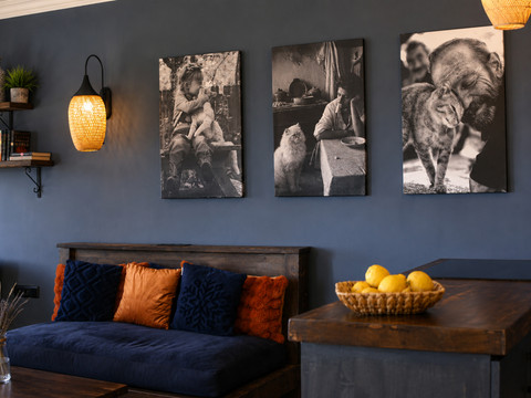 Living Area - photo 6