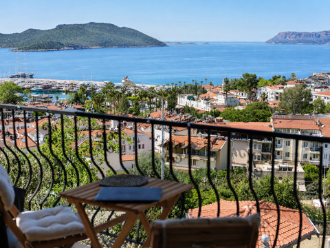 Balcony - photo 1