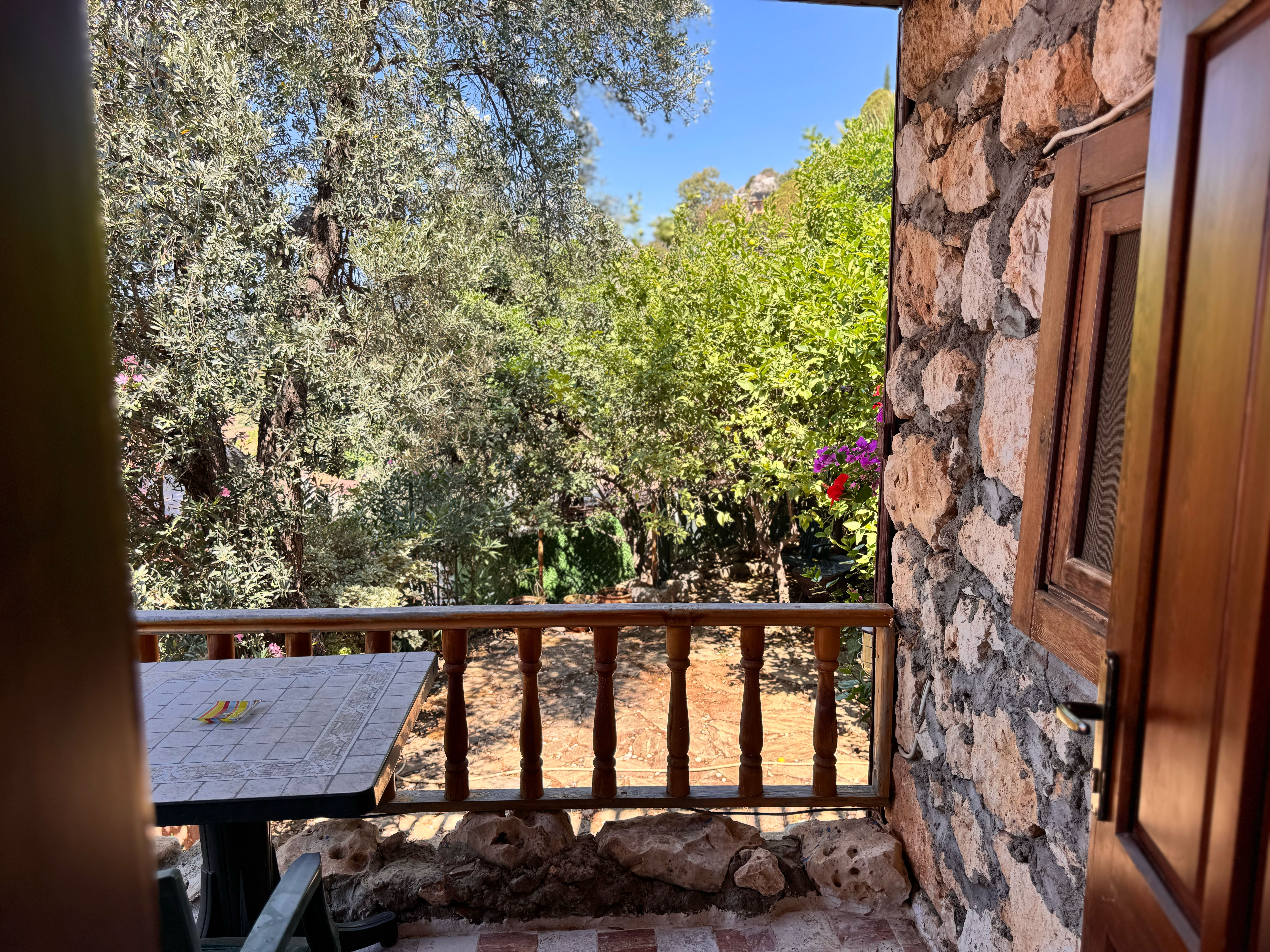 Lemonia - fotoğraf 22