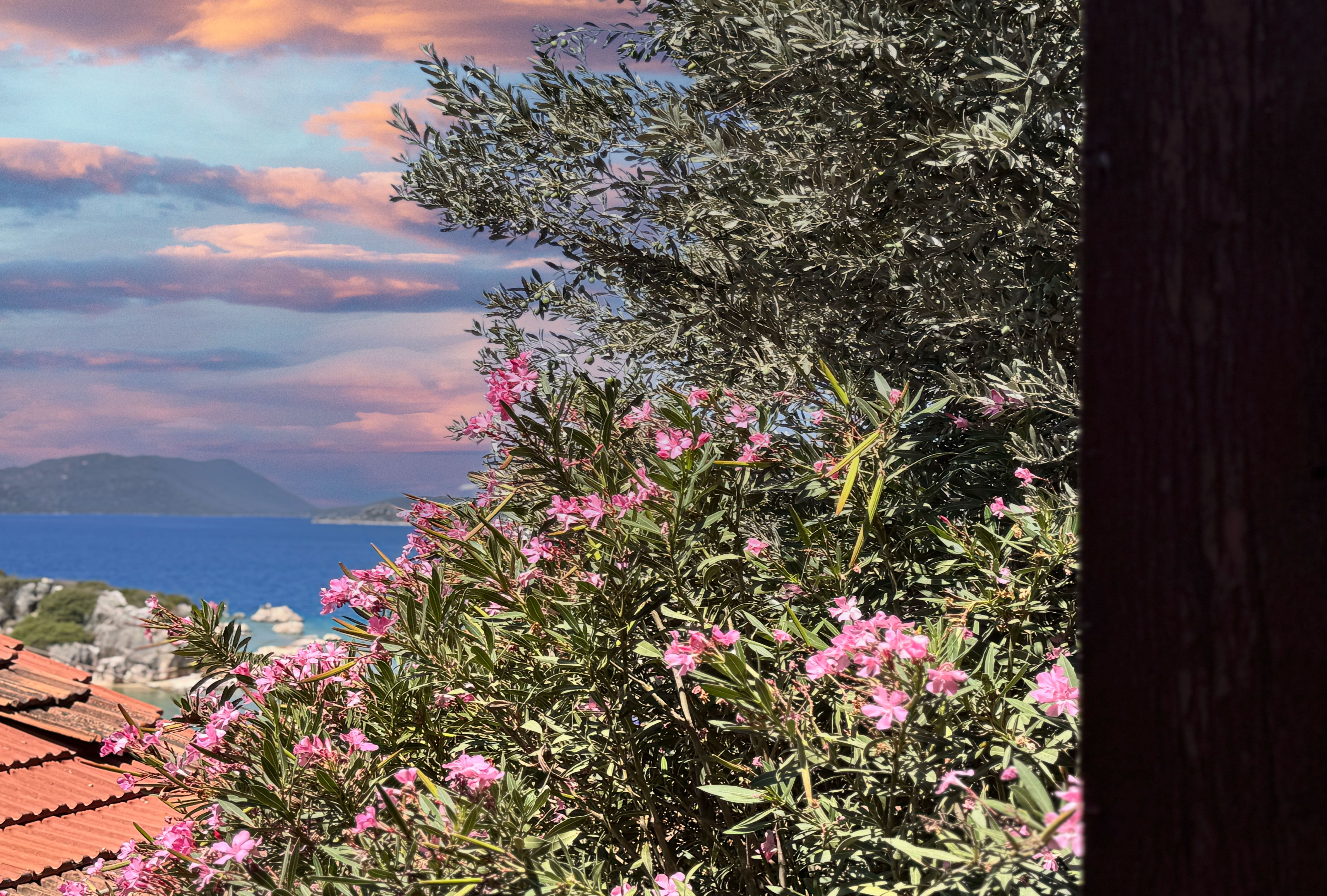 Lemonia - fotoğraf 24