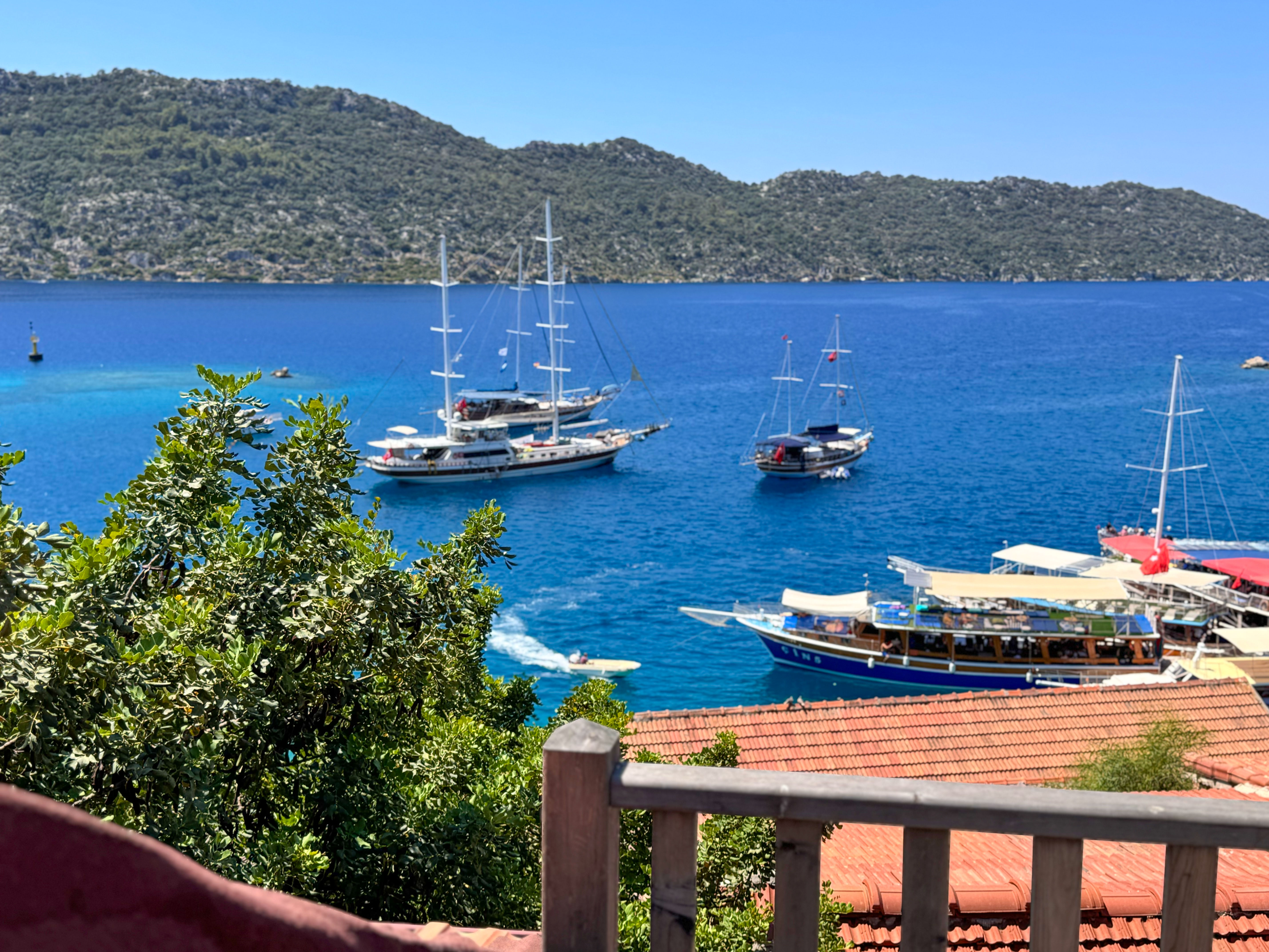 Lemonia - fotoğraf 35