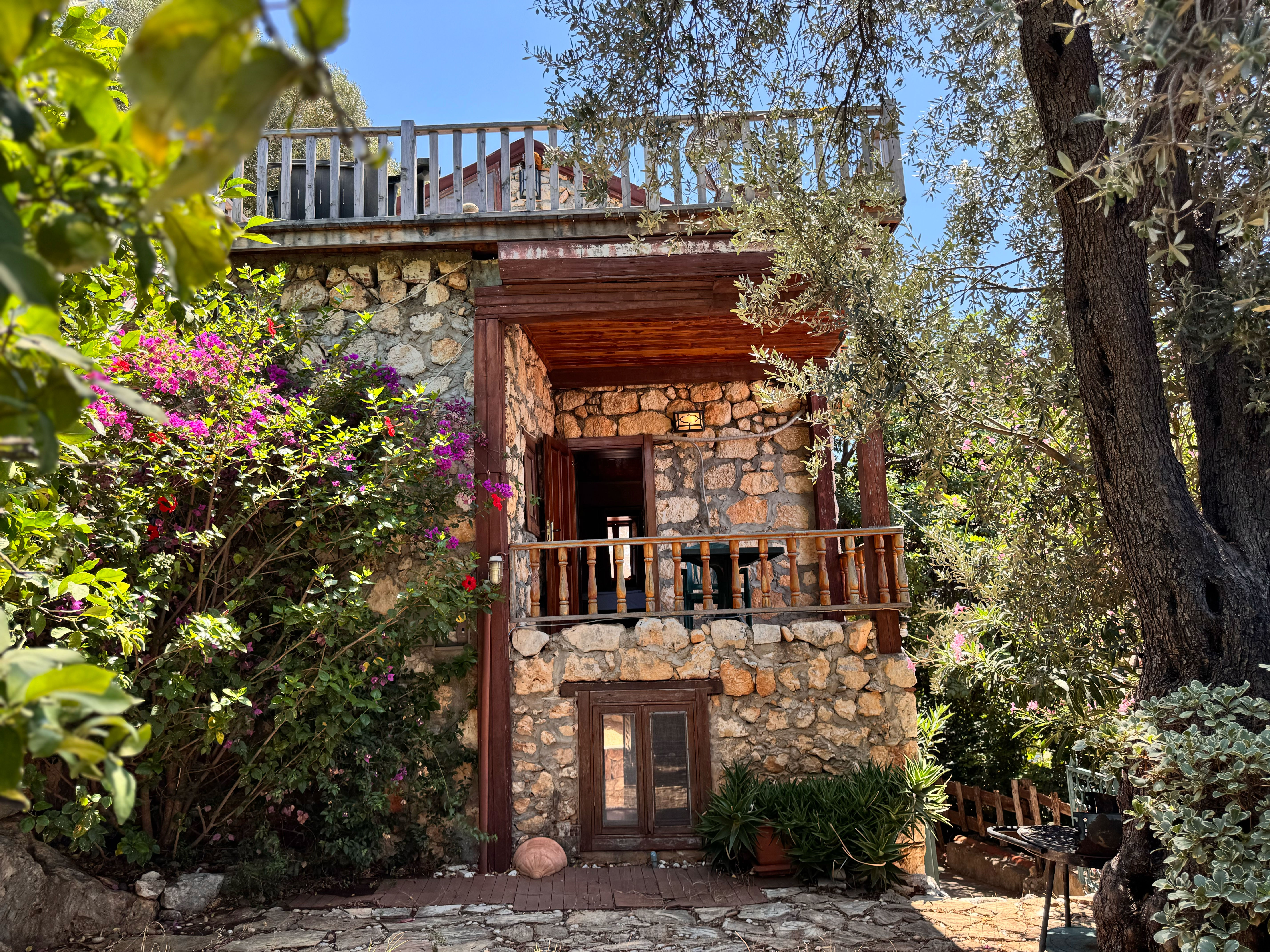 Lemonia - fotoğraf 37