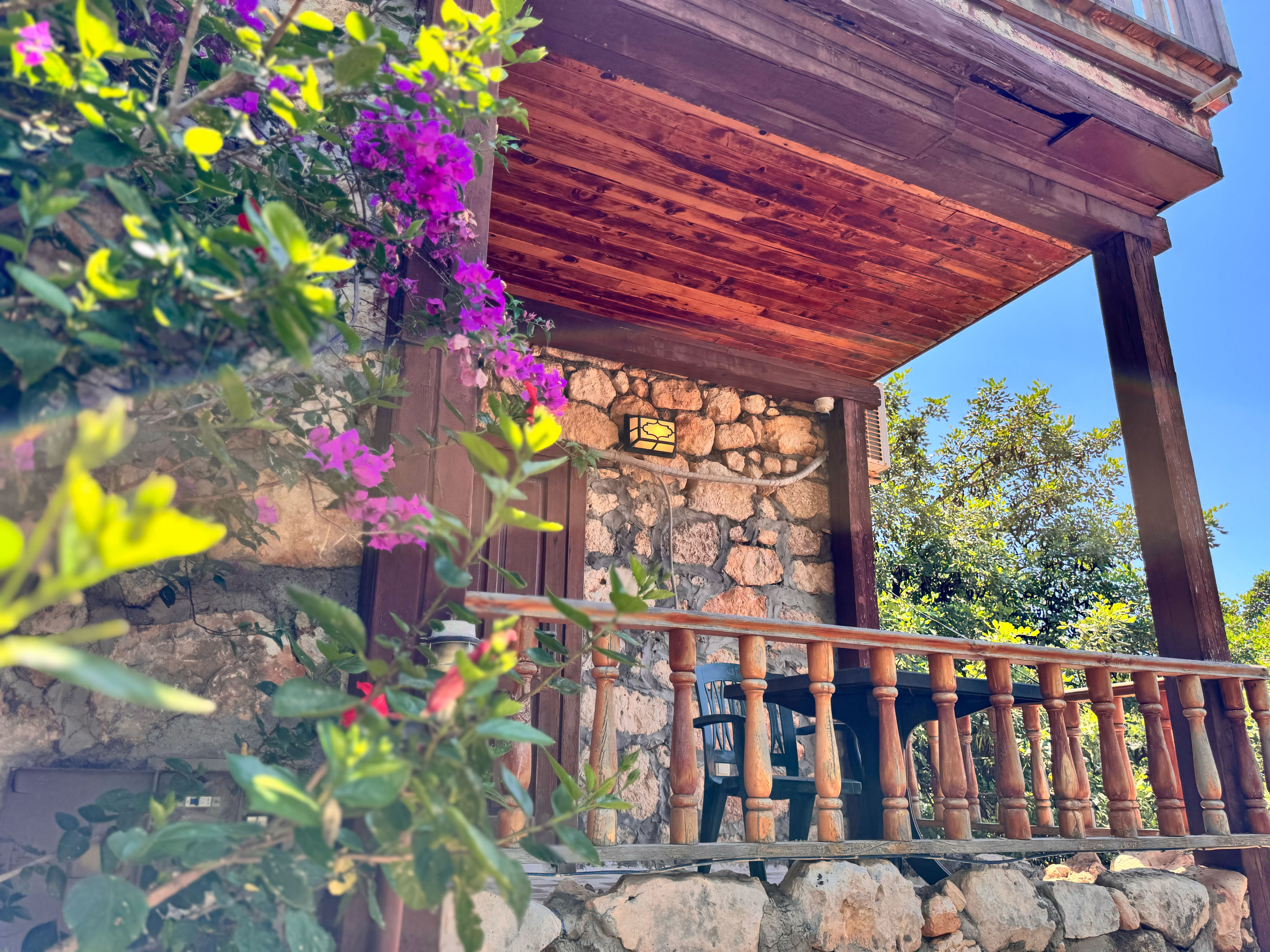 Lemonia - fotoğraf 39