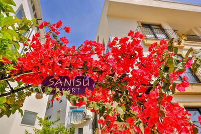 Sanisu Suites — фото 5