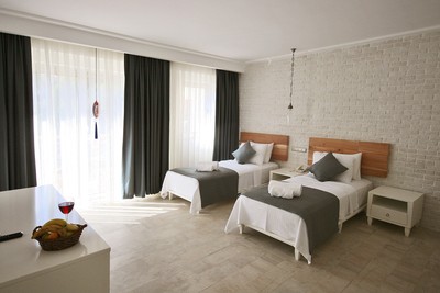 Arnna Hotel - photo 4