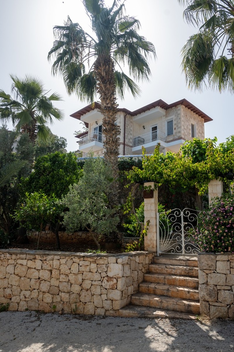 Villa Jiok - photo 1