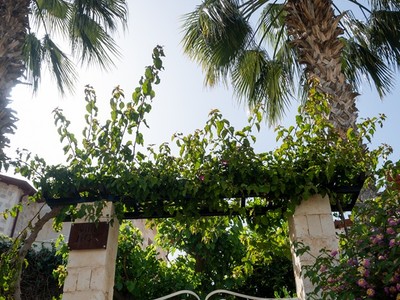 Villa Jiok