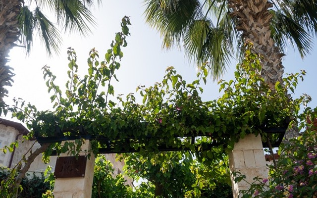 Villa Jiok