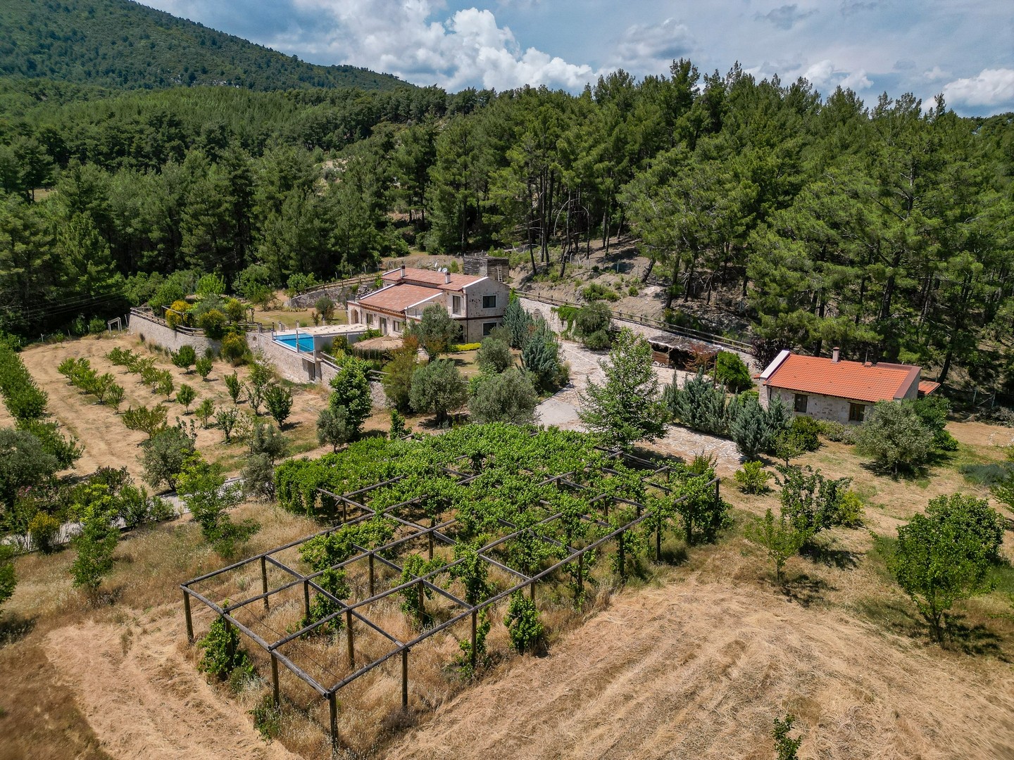 Villa Han - photo 84