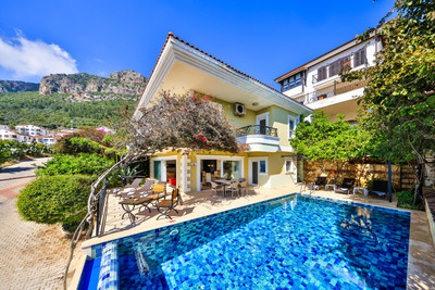 Villa Noyan - photo 3